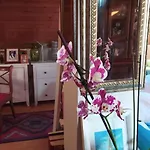 Danka Задар