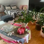 Danka * Задар